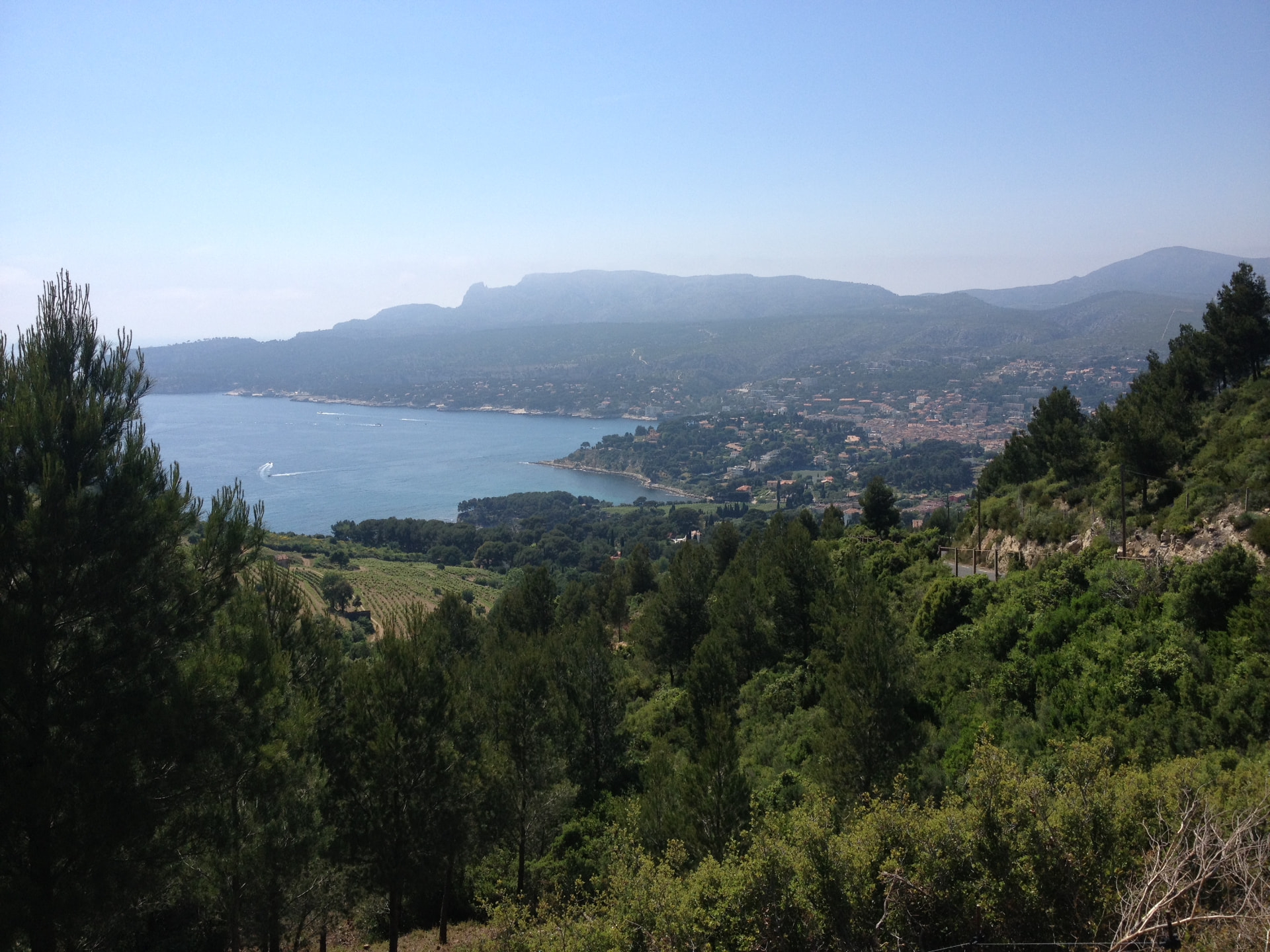 Cassis